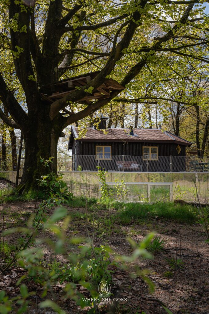 Natuurhuisje in Arnhem