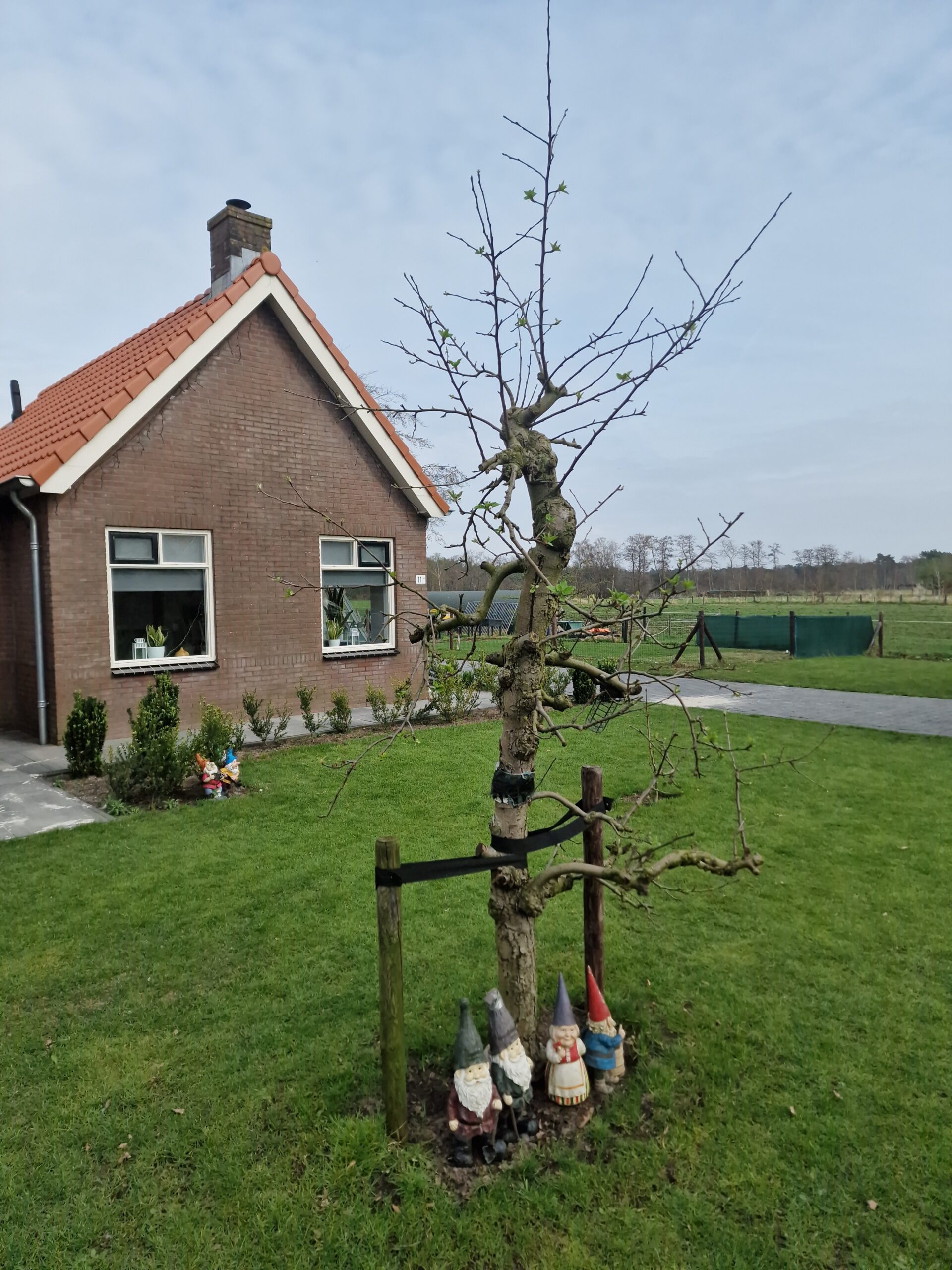 Natuurhuisje in Putten