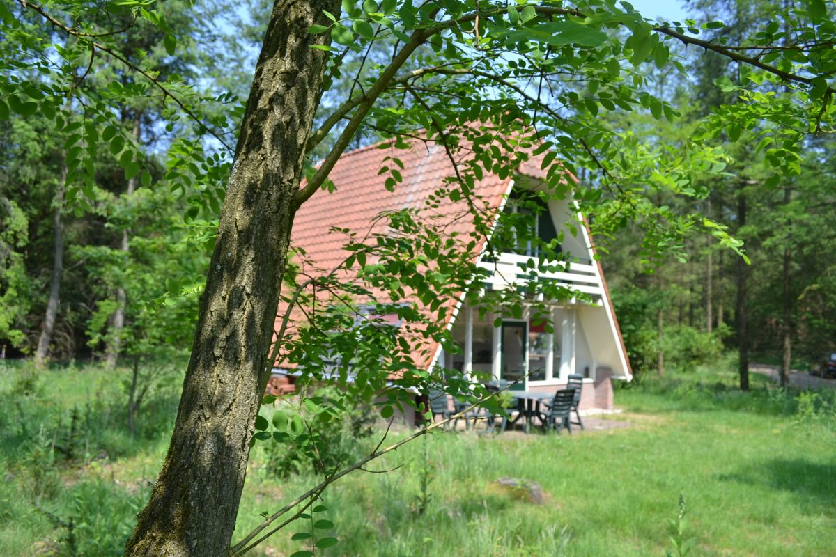 Natuurhuisje in Elspeet