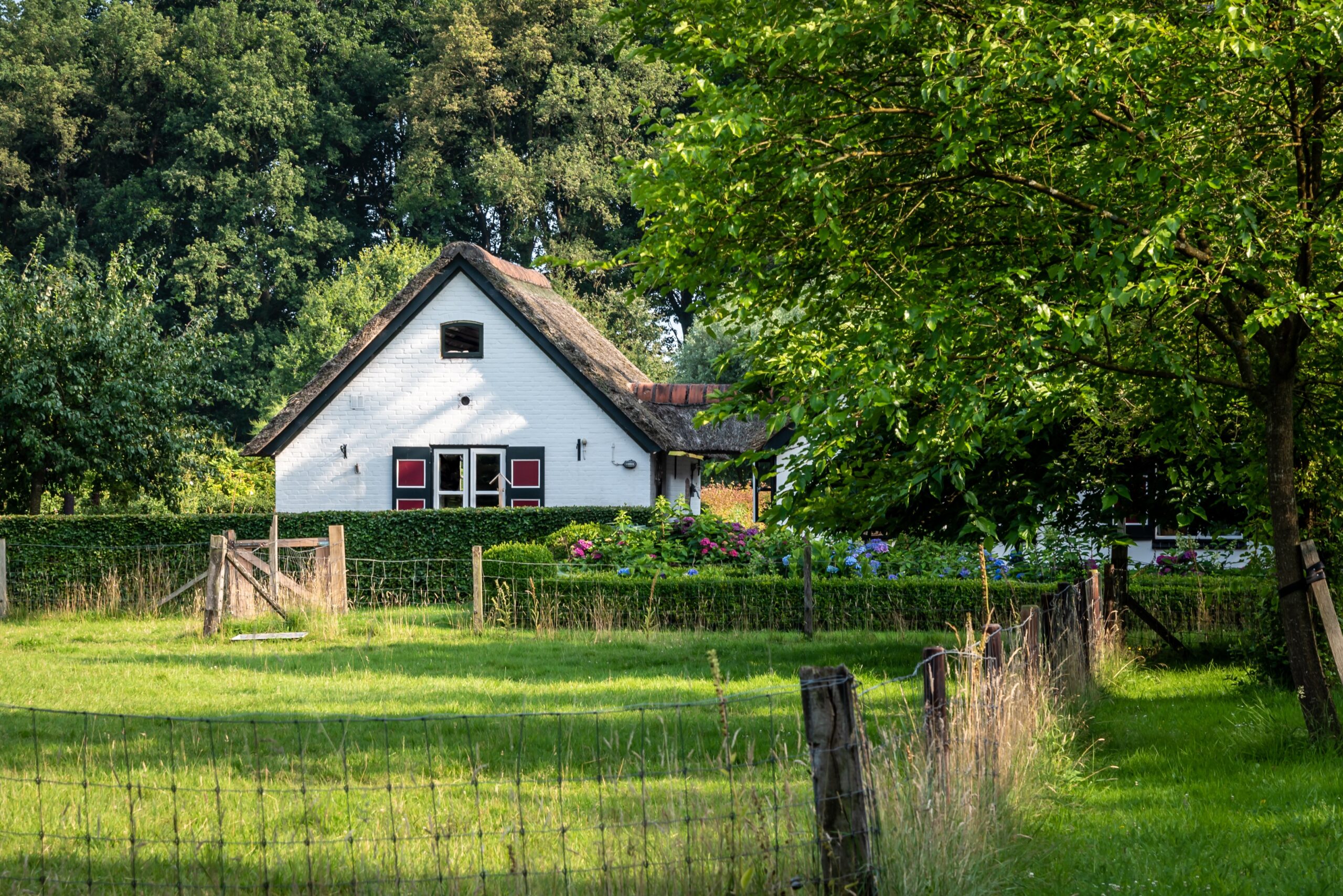 Natuurhuisje in Empe